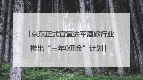 京东正式官宣进军酒旅行业 推出“三年0佣金”计划
