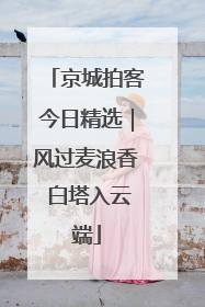 京城拍客今日精选｜风过麦浪香 白塔入云端