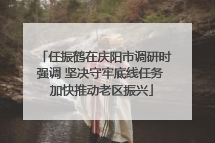 任振鹤在庆阳市调研时强调 坚决守牢底线任务 加快推动老区振兴
