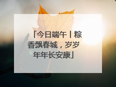 今日端午丨粽香飘春城，岁岁年年长安康