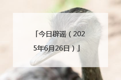 今日辟谣（2025年6月26日）