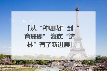 从“种珊瑚”到“育珊瑚” 海底“造林”有了新进展