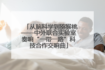 从脑科学到猕猴桃——中外联合实验室奏响“一带一路”科技合作交响曲