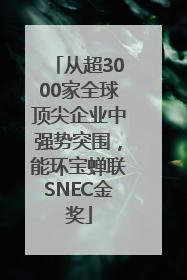 从超3000家全球顶尖企业中强势突围，能环宝蝉联SNEC金奖