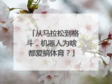 从马拉松到格斗，机器人为啥都爱搞体育？