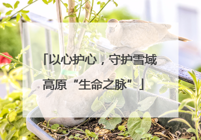 以心护心，守护雪域高原“生命之脉”