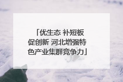 优生态 补短板 促创新 河北增强特色产业集群竞争力