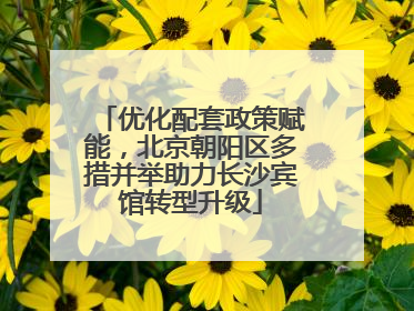 优化配套政策赋能，北京朝阳区多措并举助力长沙宾馆转型升级