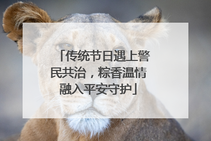 传统节日遇上警民共治，粽香温情融入平安守护