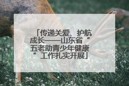 传递关爱、护航成长——山东省“五老助青少年健康”工作扎实开展