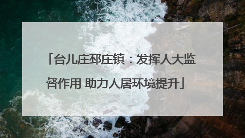 台儿庄邳庄镇：发挥人大监督作用 助力人居环境提升