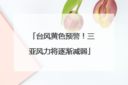 台风黄色预警！三亚风力将逐渐减弱