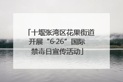 十堰张湾区花果街道开展“6·26”国际禁毒日宣传活动