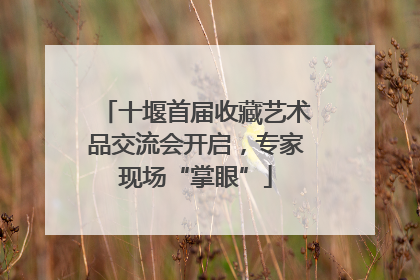 十堰首届收藏艺术品交流会开启，专家现场“掌眼”