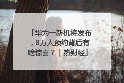华为一新机将发布，8万人预约背后有啥惊喜？｜热财经
