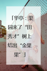 华亭：果园来了“田秀才”树上结出“金果果”