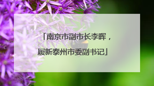 南京市副市长李晖，履新泰州市委副书记