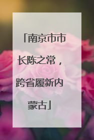 南京市市长陈之常，跨省履新内蒙古