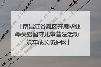 南昌红谷滩区开展毕业季关爱留守儿童普法活动 筑牢成长防护网