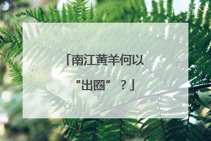 南江黄羊何以“出圈”？