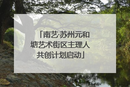 南艺·苏州元和塘艺术街区主理人共创计划启动