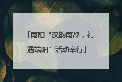 南阳“汉韵南都，礼遇端阳”活动举行