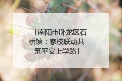 南阳市卧龙区石桥镇：家校联动共筑平安上学路