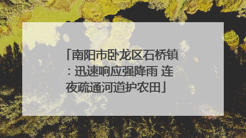 南阳市卧龙区石桥镇：迅速响应强降雨 连夜疏通河道护农田