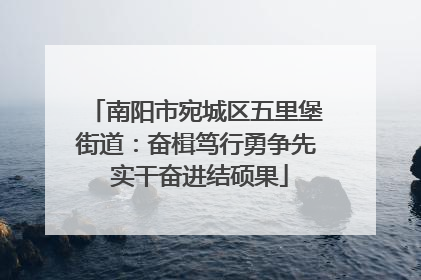 南阳市宛城区五里堡街道：奋楫笃行勇争先 实干奋进结硕果