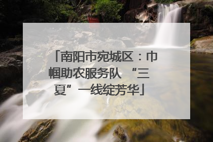 南阳市宛城区：巾帼助农服务队 “三夏”一线绽芳华