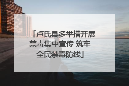 卢氏县多举措开展禁毒集中宣传 筑牢全民禁毒防线