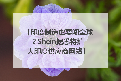 印度制造也要闯全球？Shein据悉将扩大印度供应商网络