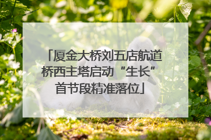 厦金大桥刘五店航道桥西主塔启动“生长” 首节段精准落位