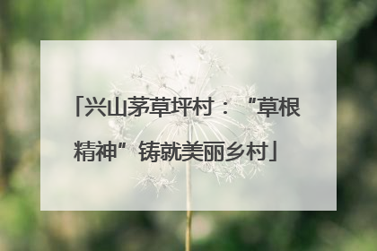 兴山茅草坪村：“草根精神”铸就美丽乡村