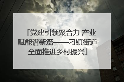 党建引领聚合力 产业赋能谱新篇——刁镇街道全面推进乡村振兴