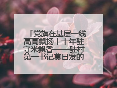 党旗在基层一线高高飘扬丨十年驻守米飘香——驻村第一书记莫日发的乡村印记