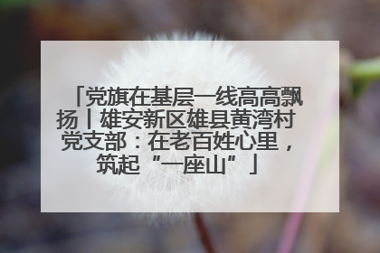 党旗在基层一线高高飘扬丨雄安新区雄县黄湾村党支部：在老百姓心里，筑起“一座山”