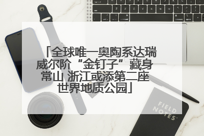全球唯一奥陶系达瑞威尔阶“金钉子”藏身常山 浙江或添第二座世界地质公园