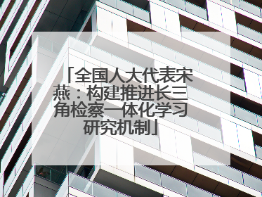全国人大代表宋燕：构建推进长三角检察一体化学习研究机制
