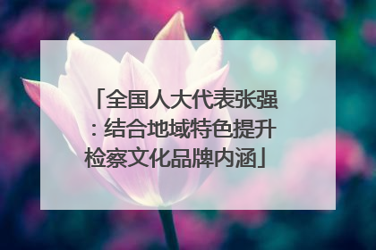 全国人大代表张强：结合地域特色提升检察文化品牌内涵