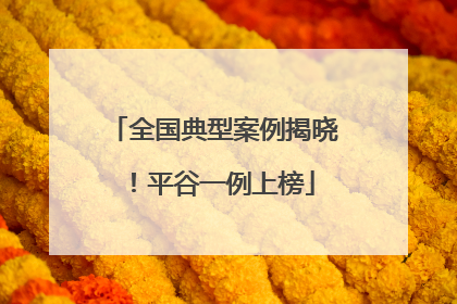 全国典型案例揭晓！平谷一例上榜