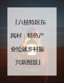 六枝特区东风村：特色产业绘就乡村振兴新图景