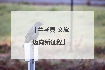 兰考县 文旅迈向新征程