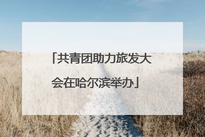 共青团助力旅发大会在哈尔滨举办