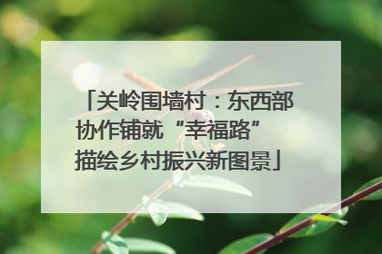 关岭围墙村：东西部协作铺就“幸福路” 描绘乡村振兴新图景