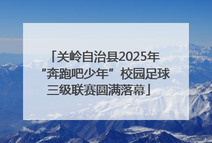 关岭自治县2025年“奔跑吧少年”校园足球三级联赛圆满落幕