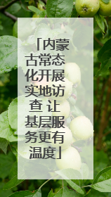 内蒙古常态化开展实地访查 让基层服务更有温度