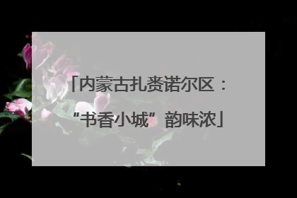 内蒙古扎赉诺尔区：“书香小城”韵味浓