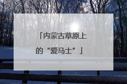 内蒙古草原上的“爱马士”