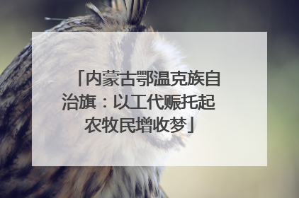 内蒙古鄂温克族自治旗：以工代赈托起农牧民增收梦
